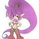 Shante the Half Genie Hero